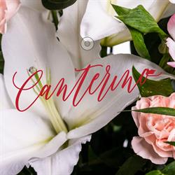 Christian Canterino, Sandigliano orari di apertura