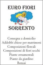 Euro Fiori Sorrento, orari di apertura