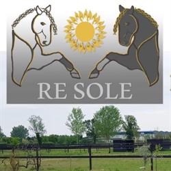 Re Sole, Bubbiano orari di apertura