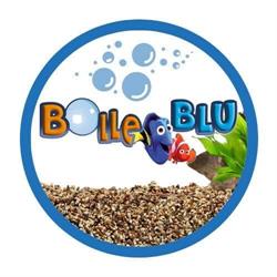 BOLLE BLU Acquariologia Tp Trapani, Casa Santa - Orari di apertura
