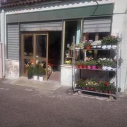 Piante & Fiori Simonetti Giusy, Nocera Superiore orari di apertura