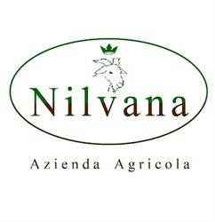 Azienda Agricola Accusani Nilvana, Cartosio orari di apertura
