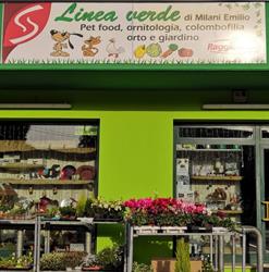 Linea Verde, San Martino di Lupari orari di apertura