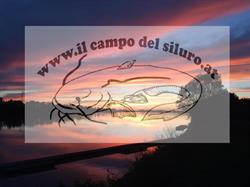 Il Campo del Siluro by Roland Ebner, Castelmassa orari di apertura