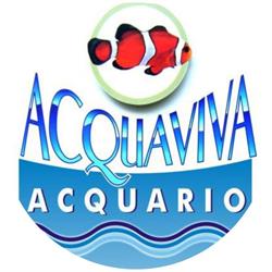 Acquaviva Acquario, Tuglie orari di apertura