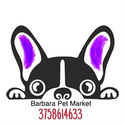 Barbara Pet Market, Colorno orari di apertura