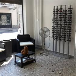 Ottica salvo, Collegno orari di apertura