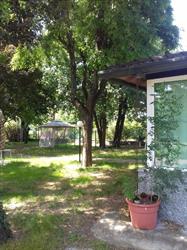 Il Giardino di Angela, Forlimpopoli orari di apertura