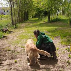 Doggy Park, Villorba orari di apertura