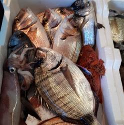 Pescheria Azzurro Mare, Manduria orari di apertura