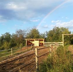 Amazing Grace Ranch, Pianello Val Tidone orari di apertura