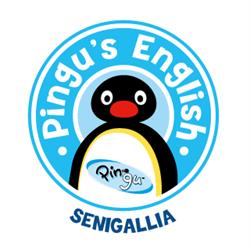 Pingu's English Senigallia, orari di apertura