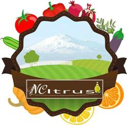 NCitrus, Carlentini orari di apertura