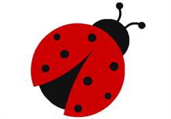 B&B La Coccinella, Lavena Ponte Tresa orari di apertura