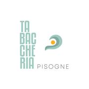 TABACCHERIA RICEVITORIA EDICOLA CARTOLERIA PISOGNE, Pisogne orari di apertura
