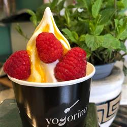 Yogorino Chiavari, orari di apertura