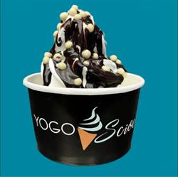 YogoScioc, Marina di Castagneto Carducci orari di apertura