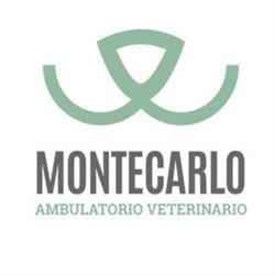 Ambulatorio Veterinario Montecarlo, Termoli orari di apertura