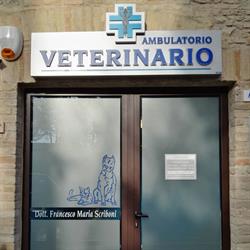 Ambulatorio Veterinario Dott. Francesco Maria Scriboni, Falerone orari di apertura