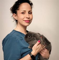 Ambulatorio Veterinario Athena, San Giovanni Rotondo orari di apertura
