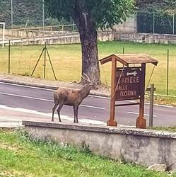B&B Valle Florina, Rocca Pia orari di apertura