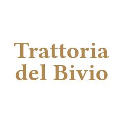 Trattoria del Bivio, Cerretto Langhe orari di apertura