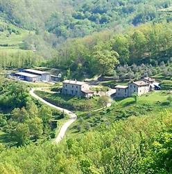 Le Chianine dei Tognoli Fivizzano, Gragnola - Orari di apertura