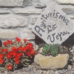 Agriturismo Cà Veja, Gottasecca orari di apertura