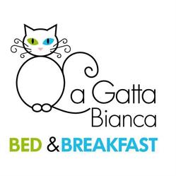 La Gatta Bianca, Oliveri orari di apertura