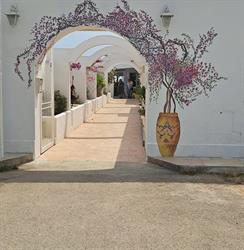 Lido Aurora Nord Manfredonia, Siponto orari di apertura