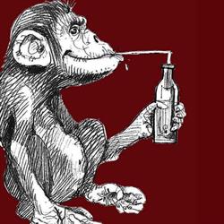 Monkey, Milazzo orari di apertura