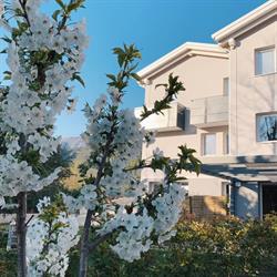 Hotel pove, Pove del Grappa orari di apertura