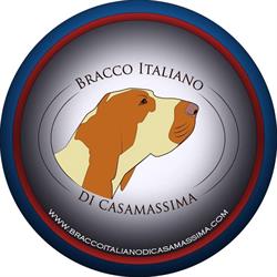 Bracco Italiano di Casamassima, Mottola orari di apertura