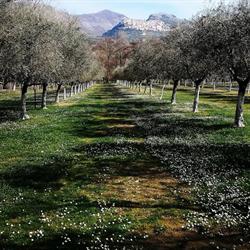 Area Pic Nic Agricampeggio Pugliese, Castelcivita orari di apertura