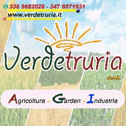 Verdetruria S.r.l., Colle di Val d'Elsa orari di apertura