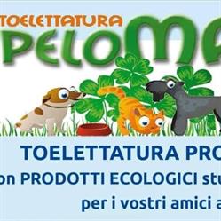 Pelomatto, Cavezzo orari di apertura