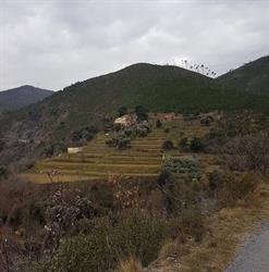 Azienda Agricola Bambugio, Varazze orari di apertura