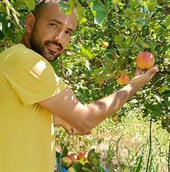 Portafrutta DI MAURO PORTA, Guspini orari di apertura