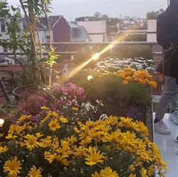 PN Studio Progetto Natura, Milano orari di apertura