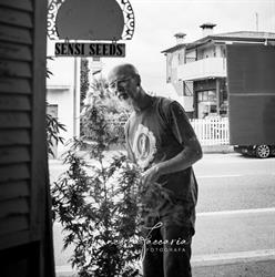 Canapa Shop, Tattoo Shop e Sexy Shop Van Gogh, San Fior orari di apertura