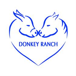 Donkey Ranch, Castell'Alfero orari di apertura