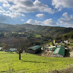 Azienda Agricola Laiano dei Sirigu, Barberino di Mugello orari di apertura