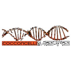 Cocconcelli Moto S.R.L., Quattro Castella orari di apertura