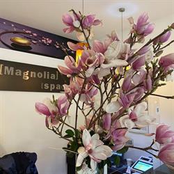 MAGNOLIA S.R.L., Napoli orari di apertura