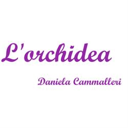 L'Orchidea, Gela orari di apertura