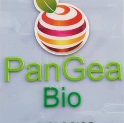 Pan Gea Bio, Avellino orari di apertura