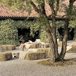 SPAZIOPARCOMILANO, Buccinasco orari di apertura