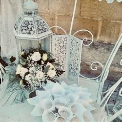 CELESTE CREAZIONI S.R.L.S., Lecce orari di apertura