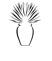 L'Agave Nel Vaso, Alba orari di apertura