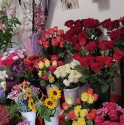 Eventi In Fiore, Santa Croce di Magliano orari di apertura